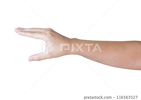 man hand gesture holding something isolated on white background man hand gesture holding something isolated on white background 116563527
