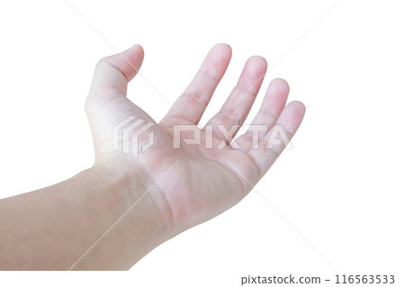 Man open hand gesture holding something isolated on white background Man open hand gesture holding something isolated on white background 116563533