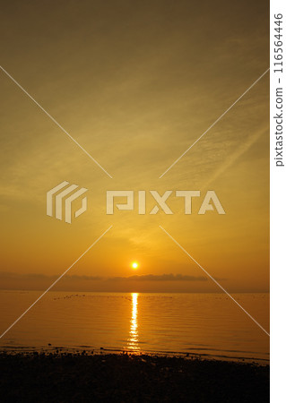 Morning sun over Ariake Sea and thin clouds in the sky Morning sun over Ariake Sea and thin clouds in the sky 116564446