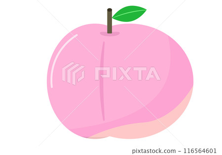 Peach. Peach. Vector illustration Peach. Peach. Vector illustration 116564601