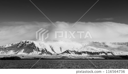 Coastal Icelandic landscape with snowy mountains, black and white 116564736