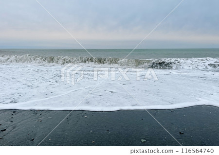 Beautiful sea beach with black sand and cloudy sky. Weather background 116564740