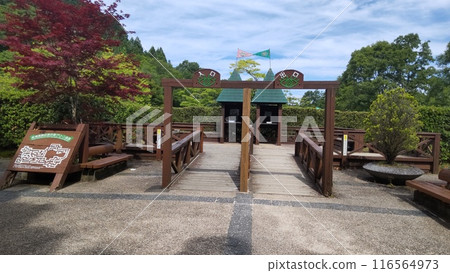 野須高原紀念森林巨迷宮 116564973