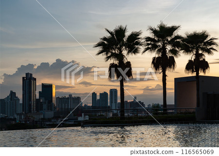 Silhouette view of Skyscraper and Sugar palm trees with Background of Dramatic sky during stunning before sunset. Silhouette view of Skyscraper and Sugar palm trees with Background of Dramatic sky during stunning before sunset. 116565069