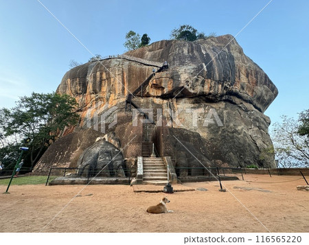 Shigiriarokku 116565220