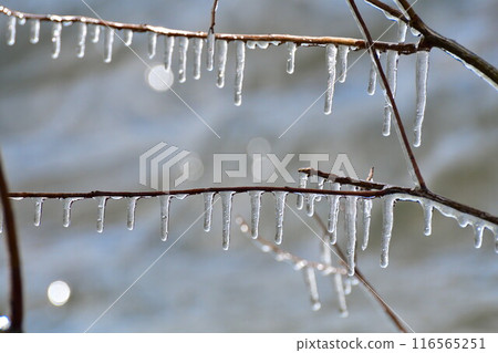 潑冰(福島縣) 潑冰(福島縣) 116565251