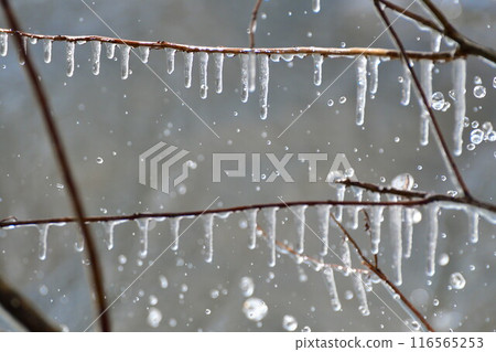 Spray ice (Fukushima Prefecture) Spray ice (Fukushima Prefecture) 116565253