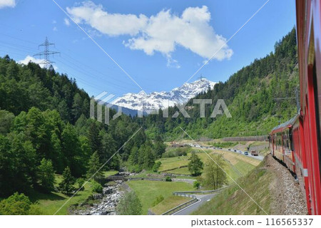 Bernina train climbing a gentle slope Bernina train climbing a gentle slope 116565337
