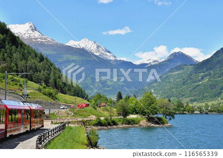 伯恩納線火車沿著湖邊平坦的軌道行駛 伯恩納線火車沿著湖邊平坦的軌道行駛 116565339