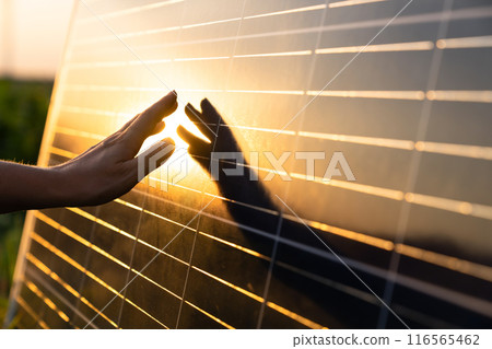 Close-up of a hand touching a solar panel at sunset 116565462
