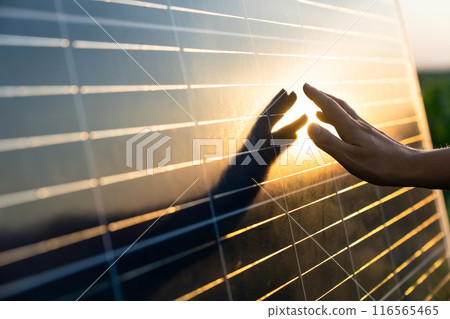Close-up of a hand touching a solar panel at sunset Close-up of a hand touching a solar panel at sunset 116565465