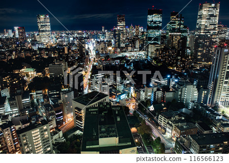 Night view - Tokyo, Tokyo Tower, 3 - Night view - Tokyo, Tokyo Tower, 3 - 116566123