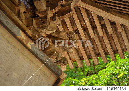 埼玉縣秩父郡小鹿野町河原澤的龍頭神社，守護獅子 116566184