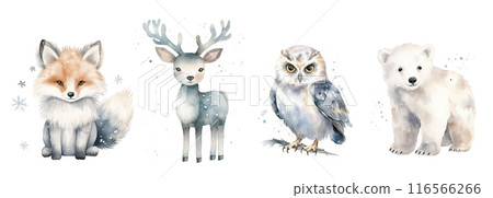 Watercolor set withwinter animals: fox, deer, owl and polar bear isolated on white background. 116566266