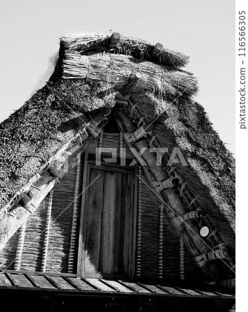 Gifu Shirakawa-go Gassho-style Houses 116566305