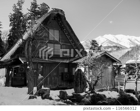 Gifu Shirakawa-go Gassho-style Houses Gifu Shirakawa-go Gassho-style Houses 116566312