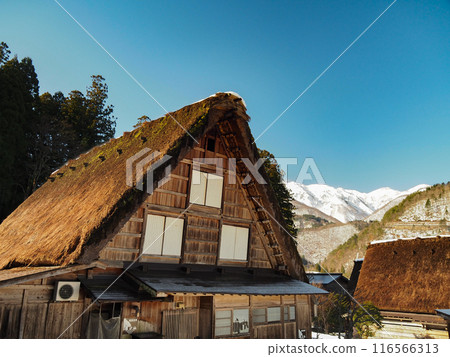 Gifu Shirakawa-go Gassho-style Houses 116566313