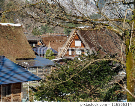 Gifu Shirakawa-go Gassho-style Houses Gifu Shirakawa-go Gassho-style Houses 116566314