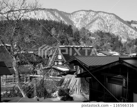 岐阜縣白川鄉的合掌造 116566316