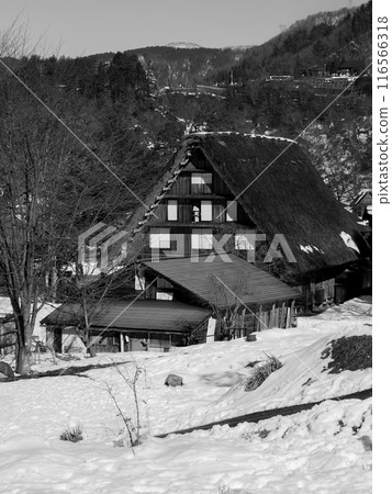 岐阜縣白川鄉的合掌造 116566318