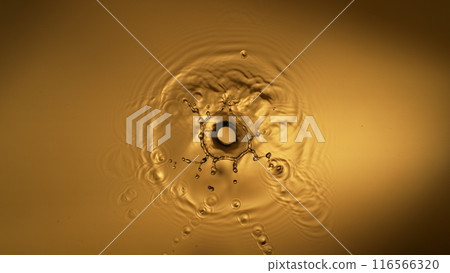 Freeze motion of splashing liquid on golden background 116566320