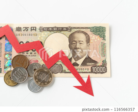 向下的箭頭和現金，向下的鈔票，向下的新鈔票 116566357