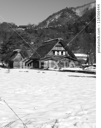 Gifu Shirakawa-go Gassho-style Houses 116566444