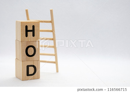 Head of Department - HOD text on wooden cubes with wooden ladder background. Senior Leadership Concept. Head of Department - HOD text on wooden cubes with wooden ladder background. Senior Leadership Concept. 116566715