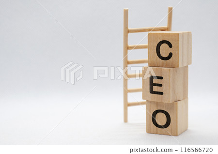 Chief Executive Officer - CEO text on wooden cubes with wooden ladder background. Senior Leadership Concept Chief Executive Officer - CEO text on wooden cubes with wooden ladder background. Senior Leadership Concept 116566720