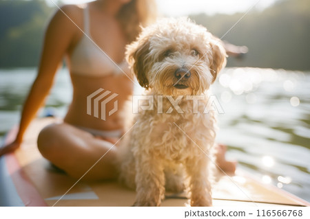 A woman is sitting on a surfboard with a dog on it 116566768