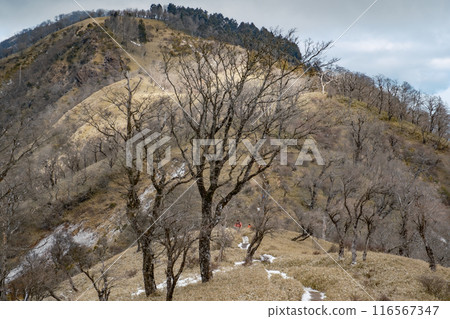 Mountainous scenery Mountainous scenery 116567347
