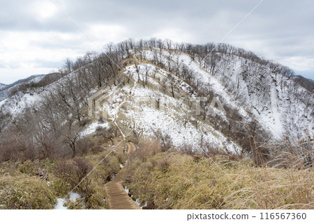 Mountainous scenery 116567360