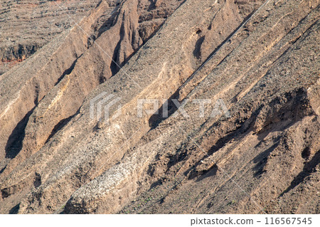 Detail of a coastal rock on the north of Lanzarote, Spain Detail of a coastal rock on the north of Lanzarote, Spain 116567545