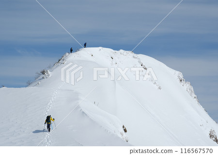 雪山的山地景觀 116567570
