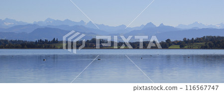 Lake Pfaeffikon and mountain ranges in autumn, Switzerland. 116567747