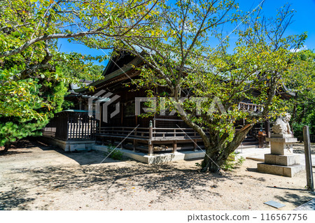 岩津姬神社早秋院內風景 2 兵庫縣赤穗市 116567756