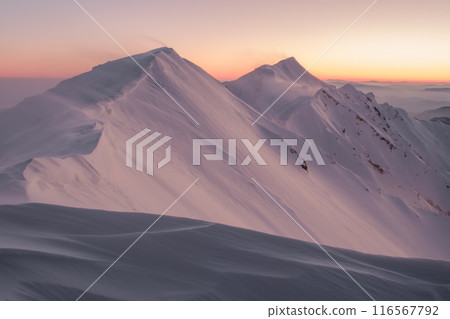 Hokidaisen 116567792