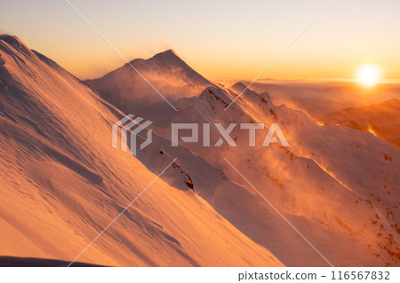 Hokidaisen 116567832