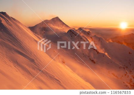 Hokidaisen 116567833