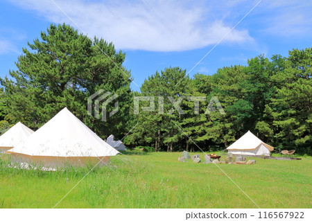千葉縣千葉市稻毛海濱公園 千葉縣千葉市稻毛海濱公園 116567922