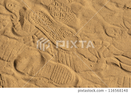Tottori sand dunes Tottori sand dunes 116568148
