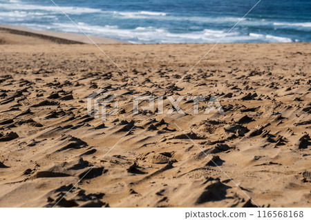Tottori sand dunes 116568168