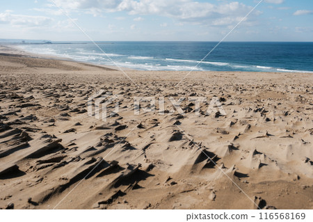 Tottori sand dunes 116568169