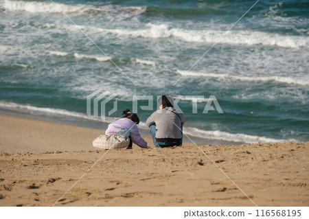 Tottori sand dunes 116568195