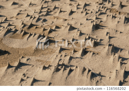 Tottori sand dunes 116568202