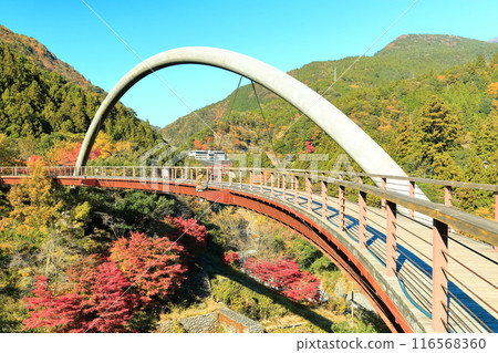 [德島縣]秋天的祖谷交流公園（祖谷羅馬橋） 116568360