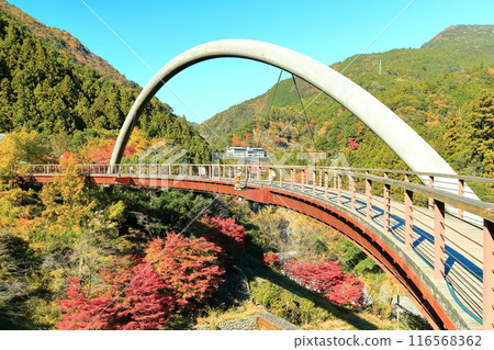 [Tokushima Prefecture] Autumn at Iya Fureai Park (Iya Roman Bridge) 116568362