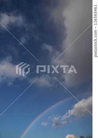 雨後藍天中的彩虹和雲朵#rainbow #rainbow 116568461