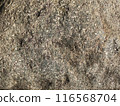 Close-up photo of the surface of a stone near a lake 116568704