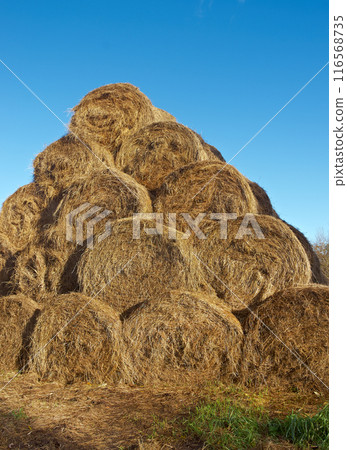 pyramid of hay pyramid of hay 116568735